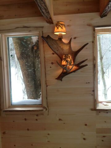 Moose sconce