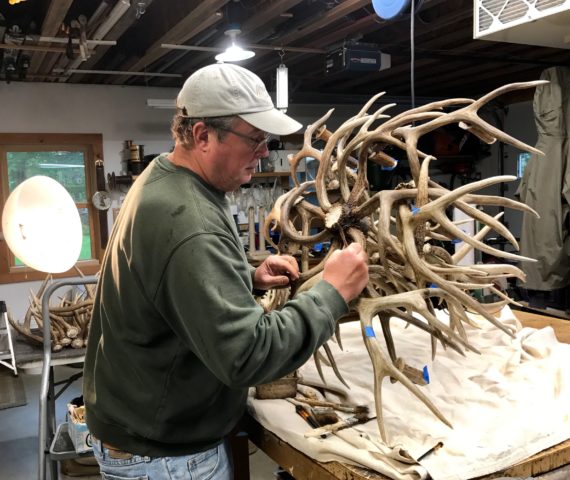 oblong construction of a mule deer chandelier in my Vermont shop