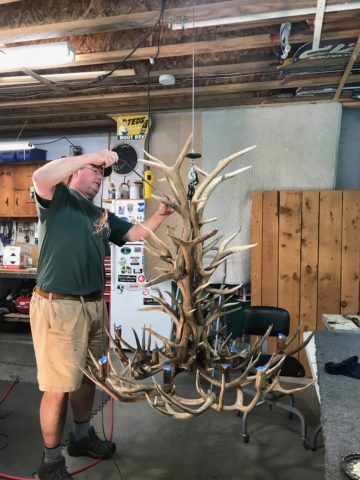 Ken Kenia finishing off a large elk antler chandelier