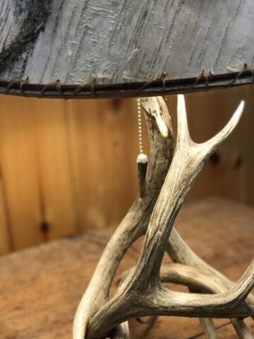 antler table lamp - white birch closeup