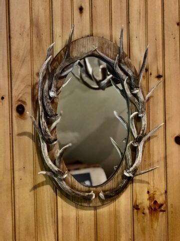mirror small mule deer