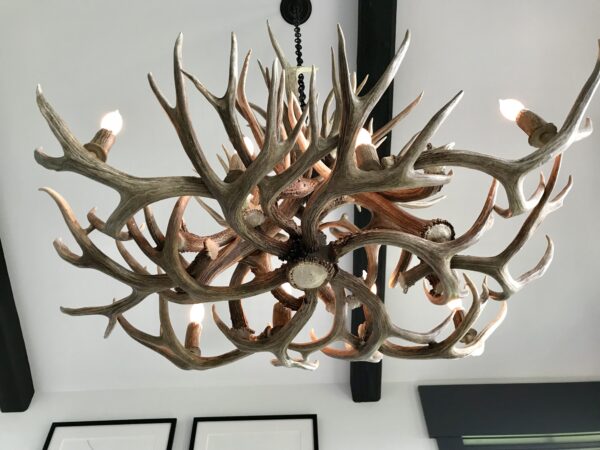 oblong medium mule deer antler chandelier